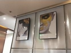 -崇尚GAVIN STYLE臻选