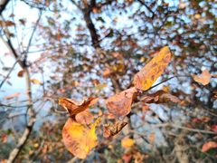 -北京鹫峰国家森林公园