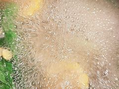 -牛人日志·鲜牛肉骨汤火锅(万科里瑧店)