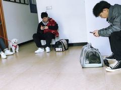 -灵美宠物诊所