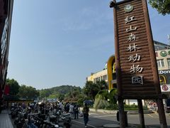 -鸡鸣汤包(红山动物园店)