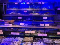 -青蓬蒸汽海鲜·深圳老字号·团建聚会(壹方城店)