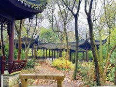 -上海佘山国家森林公园天马山园