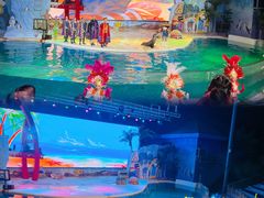 -三亚海昌梦幻海洋不夜城