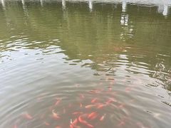 -大连植物园