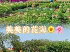 -盈香心动乐园