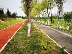 -永定河休闲森林公园