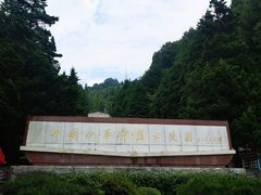 -井冈山革命烈士陵园