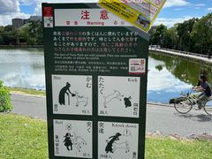 -奈良公园