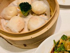 -金悦轩海鲜城(渔人码头店)