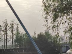 -洋湖国家湿地公园