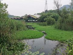 -西湖风景区-江洋畈生态公园
