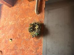 -一坐一忘云南菜(三里屯店)