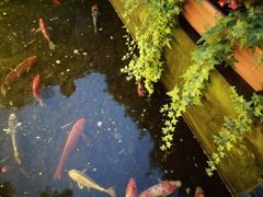 -杜月笙公馆旧址