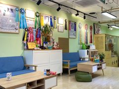 -猫十亿·布偶金渐层·曼基康矮脚猫舍(青年路店)