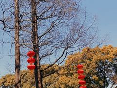 -无锡梅园公园