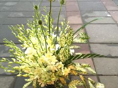 -静岸花卉园艺(三星坊店)