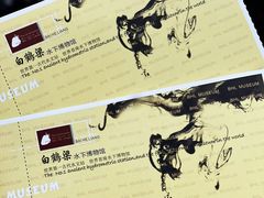 -白鹤梁水下博物馆