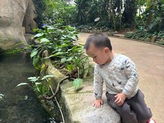 -南山植物园