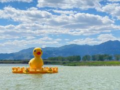 -野鸭湖国家湿地公园