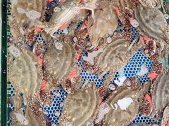 -盛华世家商业广场农贸水产综合批发市场