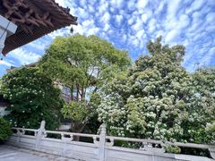 -敬亭山风景名胜区-弘愿寺