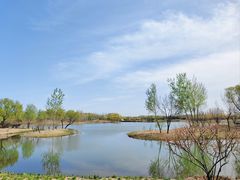 -东郊湿地公园