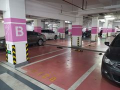 -复旦软件园·智慧新天地-停车场