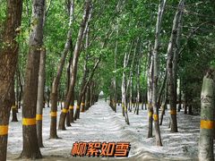 -古塔公园