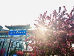 -大益膳房(华腾科技大厦店)