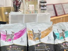 -美联众合动物医院·24h转诊中心