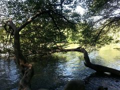 河边-南通濠河风景名胜区