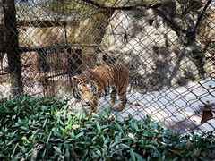 -海南热带野生动植物园