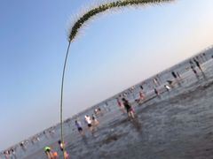-南汇新城海滩