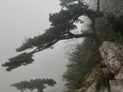 -明堂山风景区