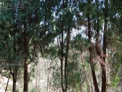 -天台山赤城山景区
