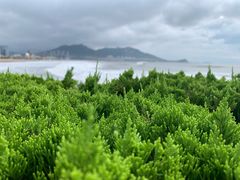 -青岛石老人海水浴场