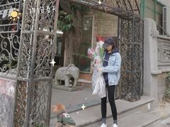 -溪岸路花鸟市场