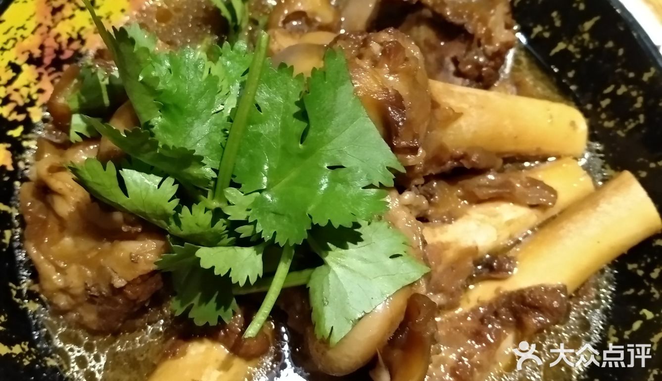 内蒙菜在关内没法存活吗？