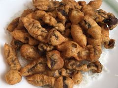 -怡海公园(桂城街道)