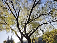 -西安汉城湖景区