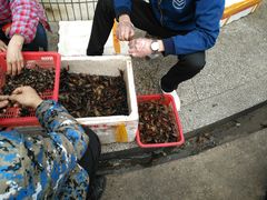 -亮亮蒸虾(石牌岭店)