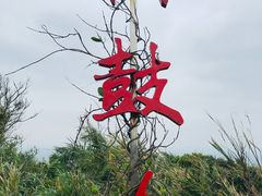 -海南铜鼓岭景区