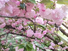 -上海游泳馆(地铁站)