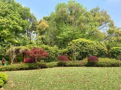 -徐家汇源景区-衡山公园