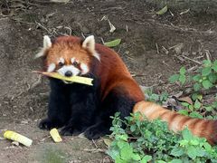 -宁波野生动物园