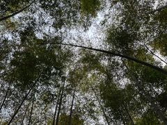 -池州市平天湖风景区