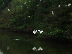 景点-龙舟池