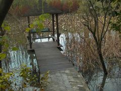 -溱湖国家湿地公园