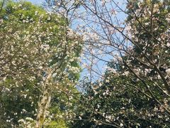 -南山植物园